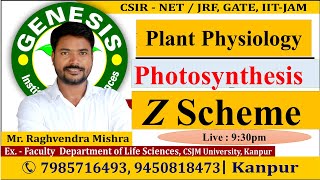 Photosynthesis  Z Scheme  Plant Physiology  CSIR NETJRF  IITJAM [upl. by Peria]