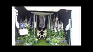 The Delphinium Society at the 100th Chelsea Flower Show 2013 [upl. by Lemak]