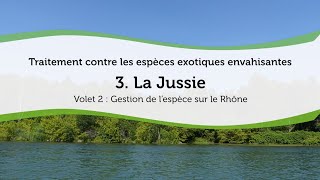 Traitement contre les espèces exotiques envahissantes  3 La Jussie  2  Gestion de lespèce sur [upl. by Alleroif]