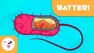 Cosa sono i batteri – Scienza per bambini [upl. by Festatus]