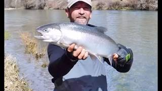 Fishing The Applegate River in Southern Oregon with Fishing The Rogue [upl. by Odlavu482]