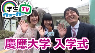 慶應義塾大学 入学式で聞いてみた [upl. by Odnamra685]