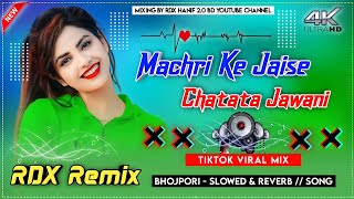 Machri Ke Jaise Tadpe Jawani  Tiktok Viral  Dj New Mixing  Dj Remix Hard Bass Bhojpuri Song 2023 [upl. by Adnorrehs]