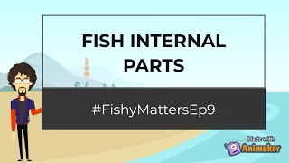 Digestive system of a fish Fishy Matters  Episode 9 [upl. by Dowlen]