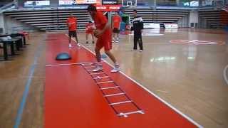 Trabajo de Pies en Baloncesto Profesional wwwxavischellingcom [upl. by Eerrehc]