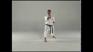 1st Kata  Taigyoku Shodan [upl. by Elene]