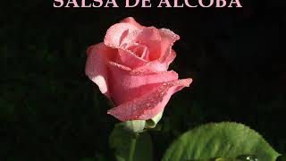 SALSA DE ALCOBA ROMANTICA GRANDES EXITOS2020 [upl. by Holmun385]