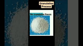 Wet granulation process [upl. by Suckow]