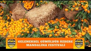 Geleneksel GÜMÜLDÜR  ÖZDERE MANDALİNA FESTİVALİ İZMİR [upl. by Copeland]