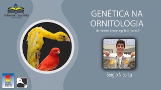 Genética na ornitologia de maneira simples e pratica  parte 02 [upl. by Stefania]