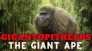 Jungle Titans The Epic Tale of Gigantopithecus [upl. by Kai]