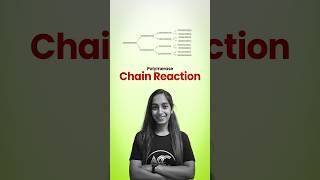 Polymerase Chain Reaction PCR [upl. by Ettegirb]