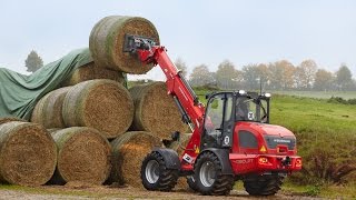 Weidemann – Teleskopradlader 4080LPT Einsatz in der Landwirtschaft [upl. by Anilat]