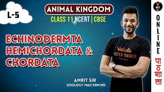 Echinodermata Hemichordata and Chordata  Animal Kingdom CBSE Class 11 Biology Chapter 4NEET 2020 [upl. by Krilov]