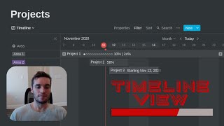 Notion Timeline for Project Management [upl. by Eetnuahs]