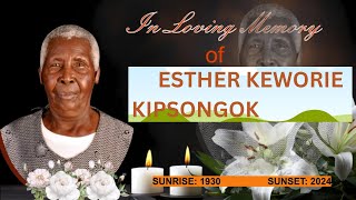 LIFE CELEBRATION OF ESTHER KEWORIE KIPSONGOK [upl. by Ferrel12]