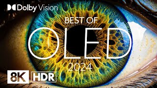 BEST OLED 2024  DOLBY VISION® 8K HDR [upl. by Araik]