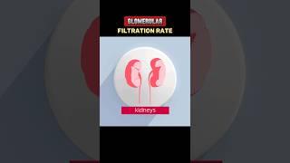 GLOMERULAR FILTRATION RATE gfrglomerularfiltrationrate EXPLAIN GFRGLOMERULAR FILTRATION RATE [upl. by Nyroc372]