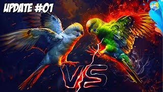 The Fight Club For Budgies [upl. by Kayne]