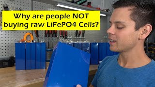 Why are people NOT buying raw LiFePO4 cells [upl. by Eiramanel]