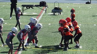 MRFL u9 Atom North Shore RoughRiders vs StLaurent Spartans 2024 [upl. by Nrubloc232]