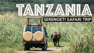 TANZANIA SAFARI  Exploring The Serengeti [upl. by Amor638]