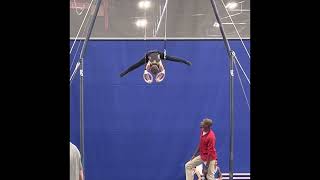 2023 Swamp Invitational level 5 rings men’s gymnastics [upl. by Dallis903]