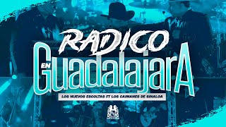 Los Nuevos Escoltas x Los Caimanes De Sinaloa  Radico en Guadalajara En Vivo [upl. by Ahseikan547]