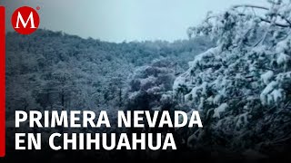 Afectaciones por nevadas en Chihuahua suministro eléctrico y comunicaciones dañadas [upl. by Arekat446]