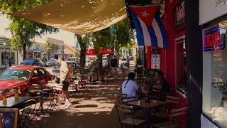 A Walk In Little Havana Miami  Calle Ocho 🇺🇸 [upl. by Shayna]