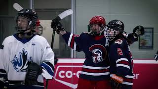 SHS Titans Girls Hockey Finals 2024  Promo [upl. by Buzz]