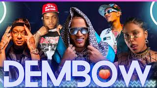 DEMBOW MIX VOL 14🎶 LOS DEMBOW MAS PEGADO DEL MUNDO 🌍 2023 🎤 DJ ZAPZAP [upl. by Annayek659]