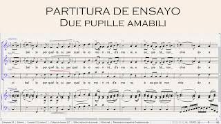 Nocturnos Mozart  3 Due pupille amabili  partitura de ensayo alto [upl. by Olihs]