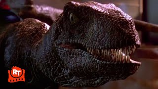 Jurassic Park 1993  Raptors in the Kitchen Scene  Movieclips [upl. by Sairahcaz]