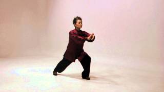 Simplified 24 Tai Chi routine [upl. by Krebs974]