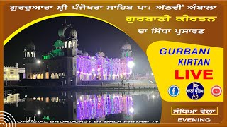 LIVE G Sri Panjokhra Sahib P 8Vi Ambala  Gurbani Kirtan  Bala Pritam  11 December 2024 Evening [upl. by Alvera425]