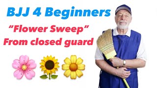 BJJ Sweeps For Beginners  Details For The Flower Sweep From Full Guard [upl. by Nyvrem687]