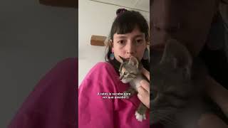 Gato recibe en casa a su nueva hermanita VIDEO HERMOSO🥰😻 [upl. by Chretien43]