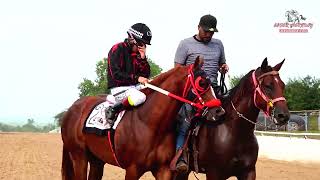 HEAT 16 FUTURITY MILLONARIO 300 YDS [upl. by Jonell]