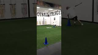 AGILITY TEST fitness quick fast agility mobility mobile training conditioning strength [upl. by Efinnej]