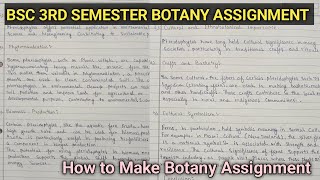 Bsc 2nd Year 3rd Semester Botany Assignment  Easy way to Make Botany Assignment📗Botany Assignments [upl. by Mou]