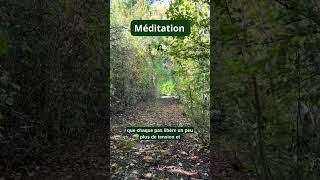 Méditation courte  Ancrage et marche mediter developpementpersonnel soulagementdustress amour [upl. by Greeson]