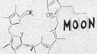 MOON  Chlorophyll [upl. by Leahcimdivad375]