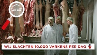 Zó maak je van een BIG een SCHNITZEL  Zoek het Uit  Bucket Boys [upl. by Ayit]