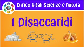 Disaccaridi e Oligosaccaridi Video in 4K [upl. by Inajna849]