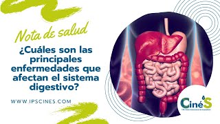 ¿Cuáles son las principales enfermedades que afectan el sistema digestivo  IPS CinéS [upl. by Donetta276]