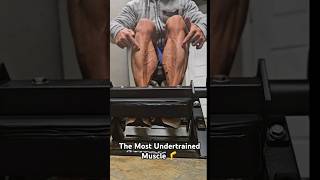 The Most Undertrained Muscle 🦵 Tibialis Anterior [upl. by Marja]