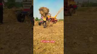 farmer agriculture kisan marathi farming indianagriculture agricultureindia [upl. by Erodasi705]