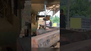 kayu keruing Kalimantan sawmillindonesia wood bandsaw carpentry [upl. by Htidirrem]