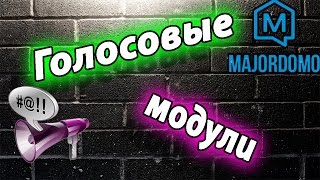 Голосовые модули в умном доме MajorDomo [upl. by Siobhan]